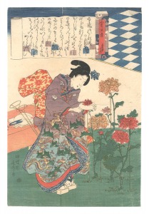 五節文章　菊月の文　／　春升