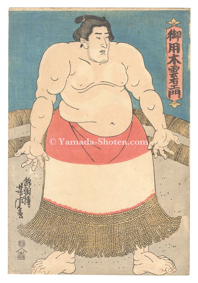 芳虎「相撲絵　御用木雲右エ門」