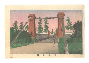 True Pictures of Famous Places in Tokyo / Suspension Bridge at Fukiage / Yasuji,Tankei