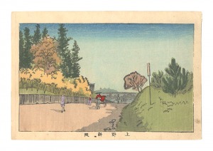 True Pictures of Famous Places in Tokyo / Shinzaka Hill, Ueno / Yasuji,Tankei
