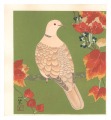 Bird and Flower