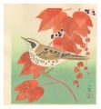 Bird and Flower
