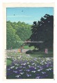 Iris Garden at Meiji Shrine