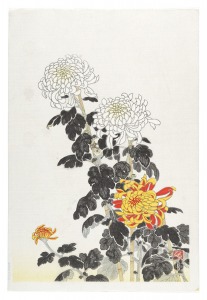 菊（仮題）　／　伊藤仁三郎