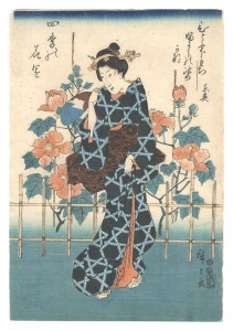 四季の花園 芙蓉 / 広重初代