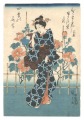 Seasonal Flowers:Fuyou