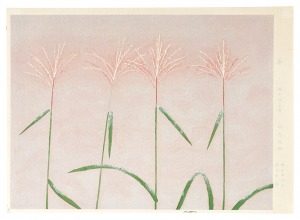 徳岡神泉「薄」