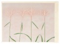 silver grass