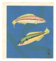 Wrasse (tentative title)