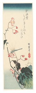 <strong>Hiroshige</strong><br>Begonia and Dragon-fly【Reprodu......