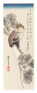 三日月に松上の木菟【復刻版】