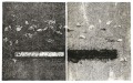 Transposition '89 -Ground- I