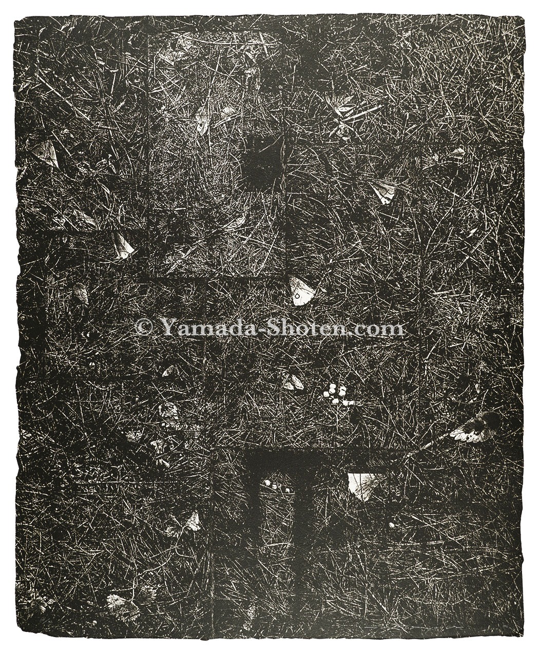 Nakabayashi Tadayoshi “Transposition '86 -Ground- I”