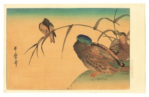 Ducks and Reeds 【Reproduction】