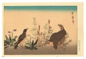 Quail and Skylark 【Reproduction】