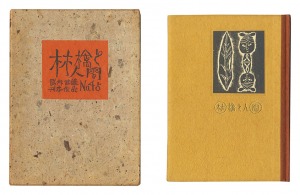 Kanpon / No. 45: Human Beings and an Apple / Takei Takeo / hand-printed by Kobayashi Sokichi